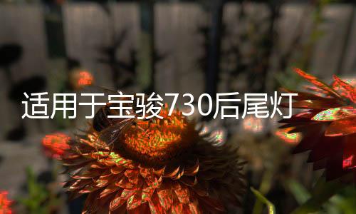 适用于宝骏730后尾灯总成14-21款转向刹车灯后组合灯倒车灯罩改装