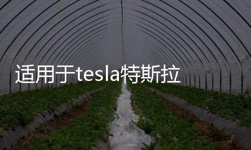 适用于tesla特斯拉model3Y坐垫三件套带透气孔座垫座椅套改装配件