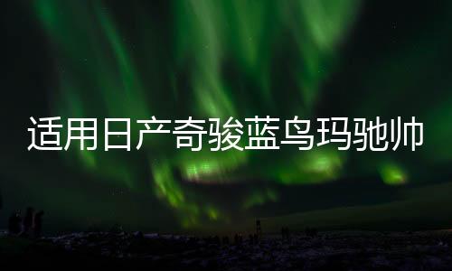 适用日产奇骏蓝鸟玛驰帅客颐达劲客汽车前门后门音响喇叭无损升级