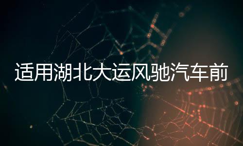 适用湖北大运风驰汽车前照灯前大灯前组合灯转向灯货车驾驶室配件