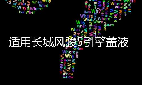 适用长城风骏5引擎盖液压杆改装风骏6/7 c50 M4炫丽C30 H3 H5支撑