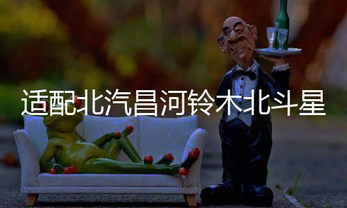 适配北汽昌河铃木北斗星X5福瑞达利亚纳A6原装45AH蓄电池汽车电瓶