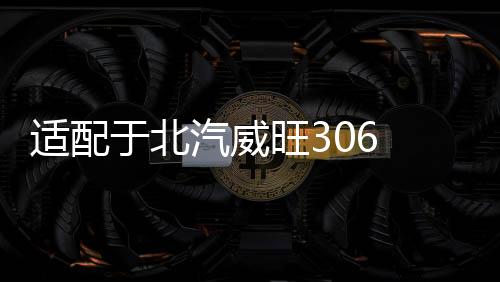 适配于北汽威旺306 307 后尾灯总成尾灯灯罩倒车刹车灯后灯配件