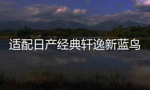 适配日产经典轩逸新蓝鸟新阳光尼桑骊威原装汽车电瓶瓦尔塔蓄电池