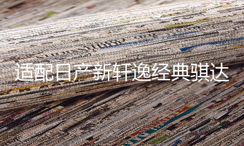 适配日产新轩逸经典骐达骊威启辰D50阳光逍客瓦尔塔蓄电池45A电瓶