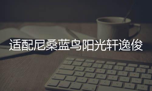 适配尼桑蓝鸟阳光轩逸俊逸颐达骐达逍客原装瓦尔塔蓄电池汽车电瓶