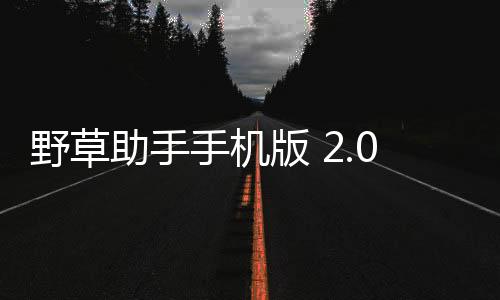 野草助手手机版 2.0.6