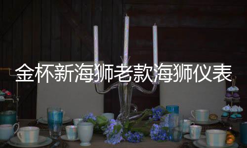 金杯新海狮老款海狮仪表工作台防晒避光垫汽车内饰专用品配件改装
