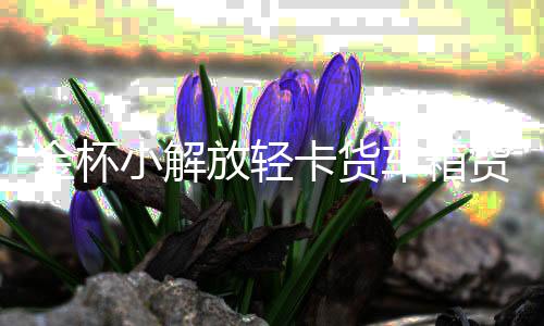 金杯小解放轻卡货车箱货领骐骐运汽车配件汽车坐垫套冰丝座垫货