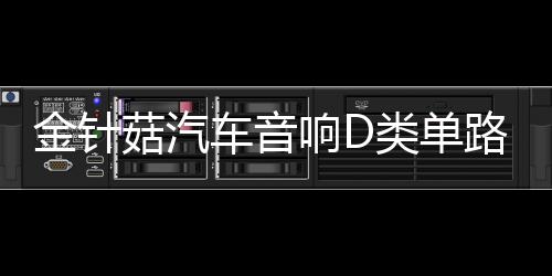 金针菇汽车音响D类单路大功率低音炮数字功放可推双12寸低音炮