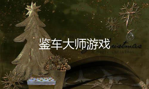 鉴车大师游戏