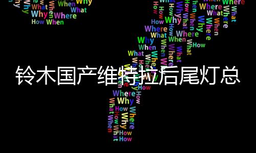 铃木国产维特拉后尾灯总成后大灯后组合灯后雾灯后倒车灯原厂正品