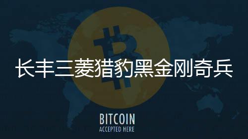 长丰三菱猎豹黑金刚奇兵飞腾6481内饰改装饰汽车配件仪表台避光垫
