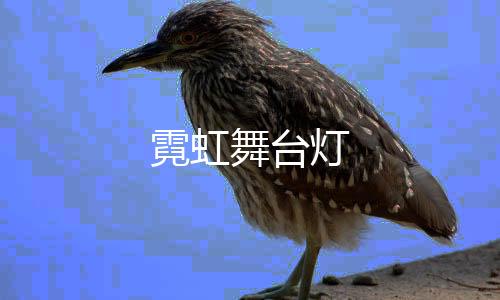 霓虹舞台灯