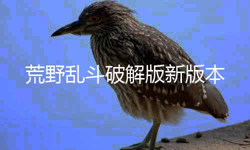 荒野乱斗破解版新版本