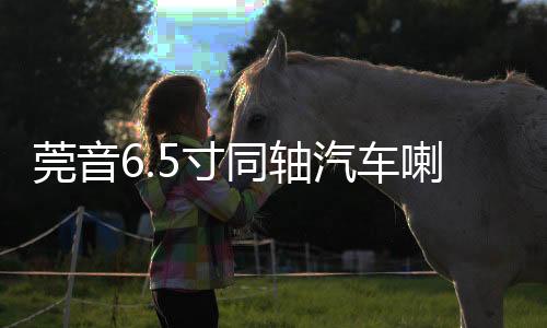 莞音6.5寸同轴汽车喇叭发烧hifi中低音车载汽车音响改装套装喇叭