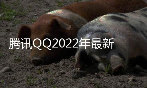 腾讯QQ2022年最新版