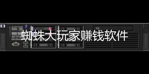 蜘蛛大玩家赚钱软件