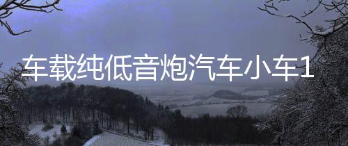 车载纯低音炮汽车小车12V大货车24V超重低音有源蓝牙功放音响改装