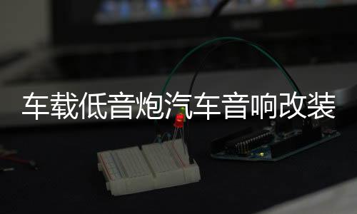 车载低音炮汽车音响改装同步专用12v24v大功率超重低音座椅后备箱