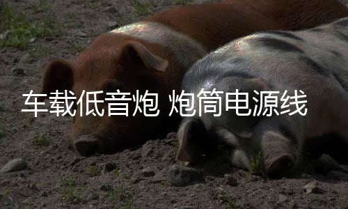 车载低音炮 炮筒电源线 遥控器 延长线 点烟器电源线配件