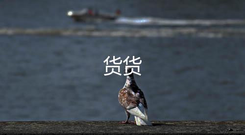 货货