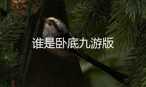 谁是卧底九游版