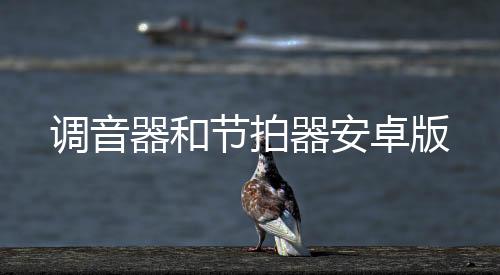 调音器和节拍器安卓版
