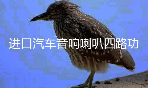进口汽车音响喇叭四路功放4声道12V车载dsp大功率低音功放机100x4