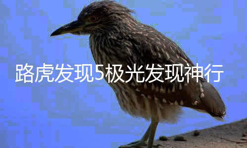 路虎发现5极光发现神行2发现4发动机盖饰板进风口装饰改装配件
