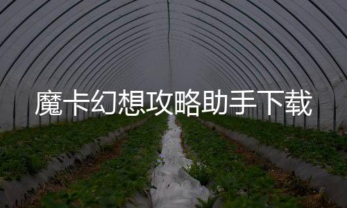 魔卡幻想攻略助手下载