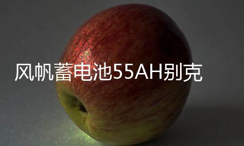 风帆蓄电池55AH别克老凯越1.6L景程雪佛兰乐风乐驰指南者汽车电瓶