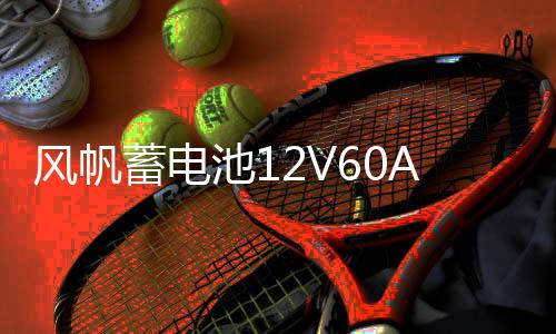 风帆蓄电池12V60Ah君越朗逸明锐途观迈腾凌度迈锐宝L2400汽车电瓶
