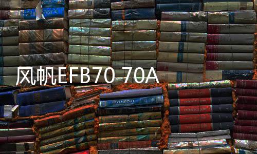 风帆EFB70 70AH启停汽车电瓶适用凌度速腾朗逸迈腾翼虎福克