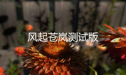 风起苍岚测试版