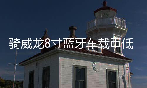 骑威龙8寸蓝牙车载重低音炮汽车音响12v24v220v家用插卡电脑音箱