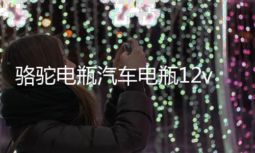 骆驼电瓶汽车电瓶12v45ah免维护汽车蓄电池