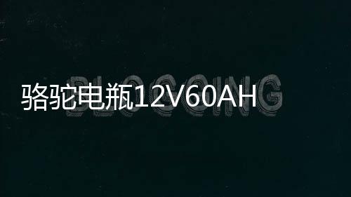 骆驼电瓶12V60AH适配科鲁兹捷达爱丽舍明锐宝来汽车蓄电池L2-400
