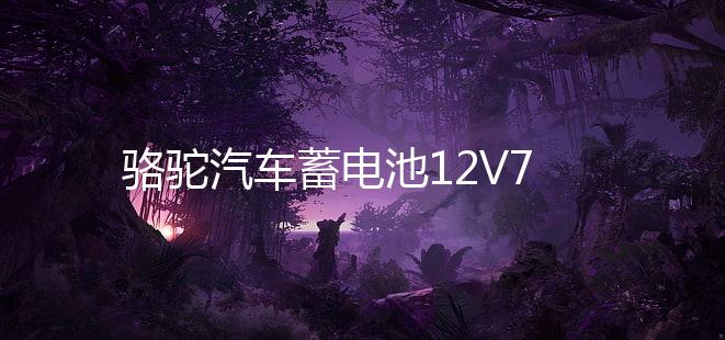 骆驼汽车蓄电池12V70AH适用马自达凯美瑞汉兰达皇冠锐志电瓶80D26