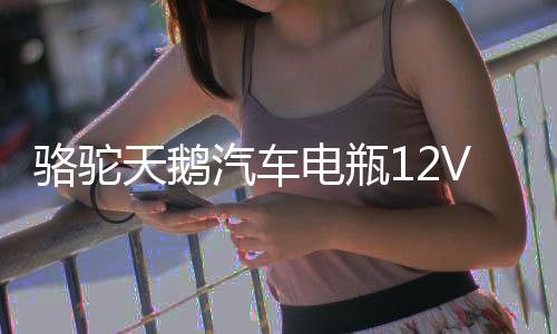 骆驼天鹅汽车电瓶12V60AH55D26R丰田皇冠锐志马自达6哈弗H2H3H5H6
