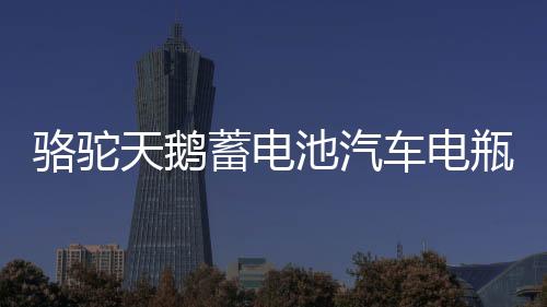 骆驼天鹅蓄电池汽车电瓶12V60AH55D23L卡罗拉花冠帝豪比亚迪F3