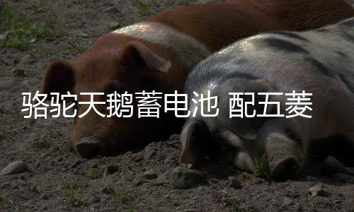 骆驼天鹅蓄电池 配五菱荣光之光宝骏310北汽车幻速S3汽车电瓶 48A