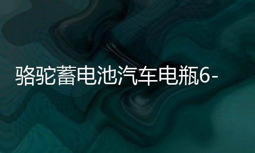 骆驼蓄电池汽车电瓶6-QW-110适配奔驰S奥迪Q7宝马5宝马7专用110AH
