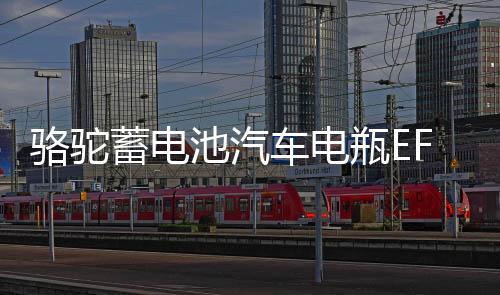 骆驼蓄电池汽车电瓶EFB70AH适配大众途观速腾帕沙特斯柯达日产