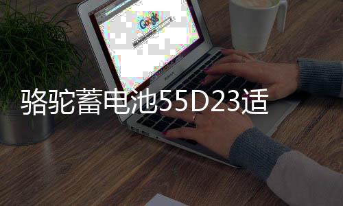 骆驼蓄电池55D23适配现代朗动起亚K3凯越天籁卡罗拉汽车电瓶