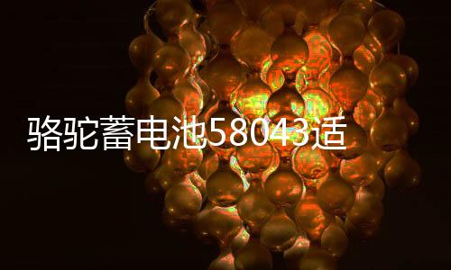 骆驼蓄电池58043适用于奥迪A6宝马3系奔驰揽胜汽车电瓶 以旧换新