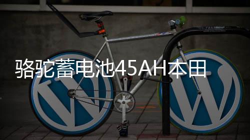 骆驼蓄电池45AH本田杰德凌派思域现代瑞纳/I30起亚K2原装汽车电瓶