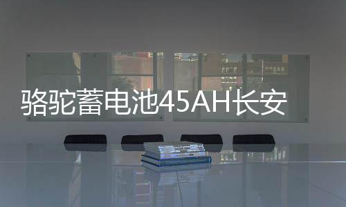 骆驼蓄电池45AH长安之星2/3东方小康K17/C37小面包车原装汽车电瓶