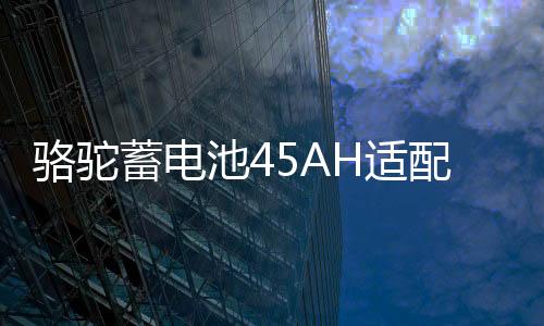 骆驼蓄电池45AH适配五菱宏光吉利QQ金刚熊猫长城M4M2原装汽车电瓶