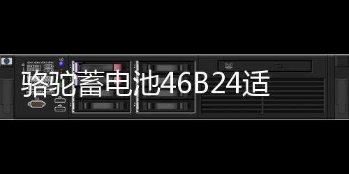 骆驼蓄电池46B24适配于起亚K2现代瑞纳瑞奕 45ah汽车电瓶以旧换新